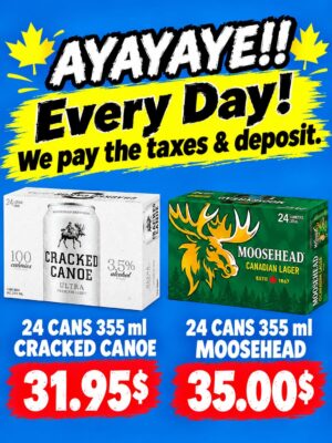 Promo ayayaye anglais